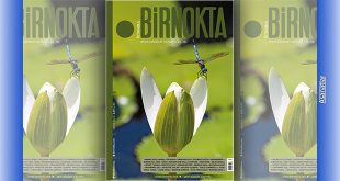Birnokta Dergisinin Mayıs 2025 Sayısı
