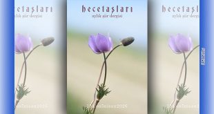 Hece Taşları Dergisinin 134. Sayısı